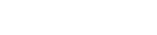 Metropolitan Police